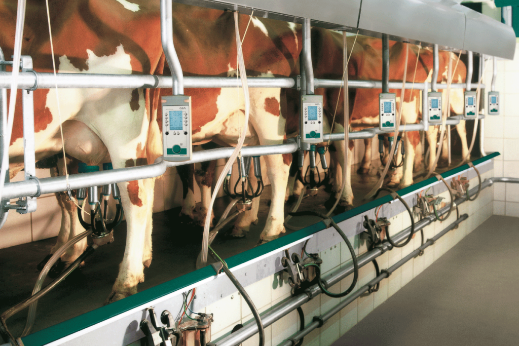 GEA EuroClass – Molzišče Ribja Kost